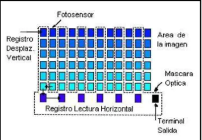 Figura 2.1 CCD tipo IT. 
