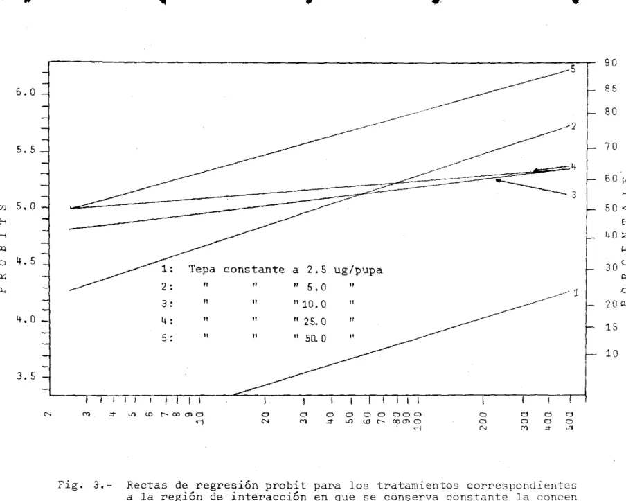 Fig.  3.- Rectas  de  regresi6n  probit  para  los  tratamientos  correspondientes  a  la  región  de  interacción  en  que  se  conserva  constante  la  concen  tración  del  Tepa