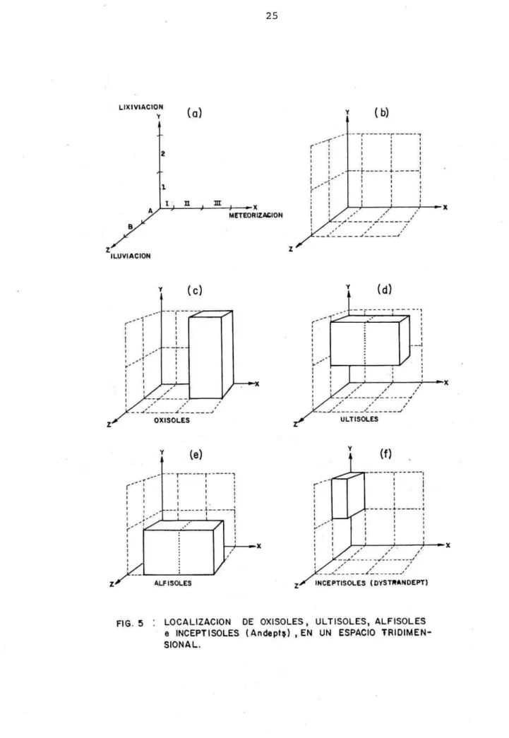 FIG. 5 : LOCALZ4CION DE OXISOLES, ULTISOLES, ALFISOLES  e INCEPTISOLES (Andept)  ,EN  UN ESPACIO  TRDIMEN-S ION A L