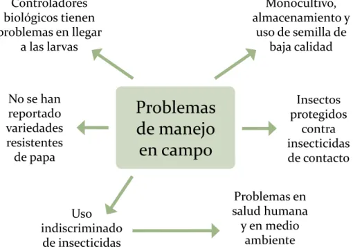 Figura 6. Principales problemas asociados al manejo de la polilla guatemalteca en condiciones de campo.