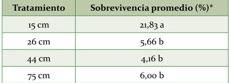 Tabla 2. Promedio de la supervivencia de las larvas de T. solanivora en cada tratamiento con y sin carbón  activado