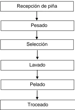 Figura 4. Diagrama del Proceso de acondicionamiento de la piña 