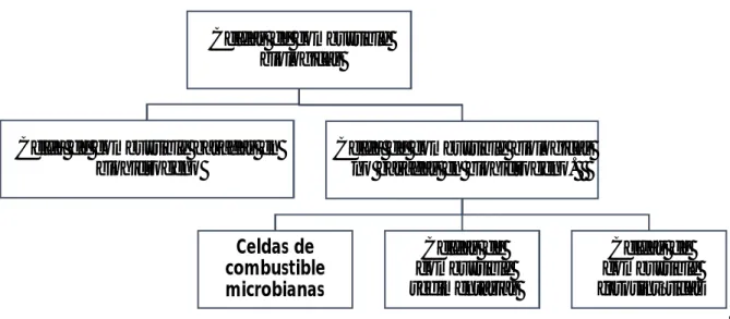 Figura 2. Celda de electrolisis microbial acopladas a una MFC para la producción de hidrogeno,  