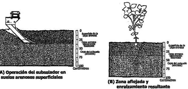 Figura 30.  &#34;El  Paraplow&#34; 