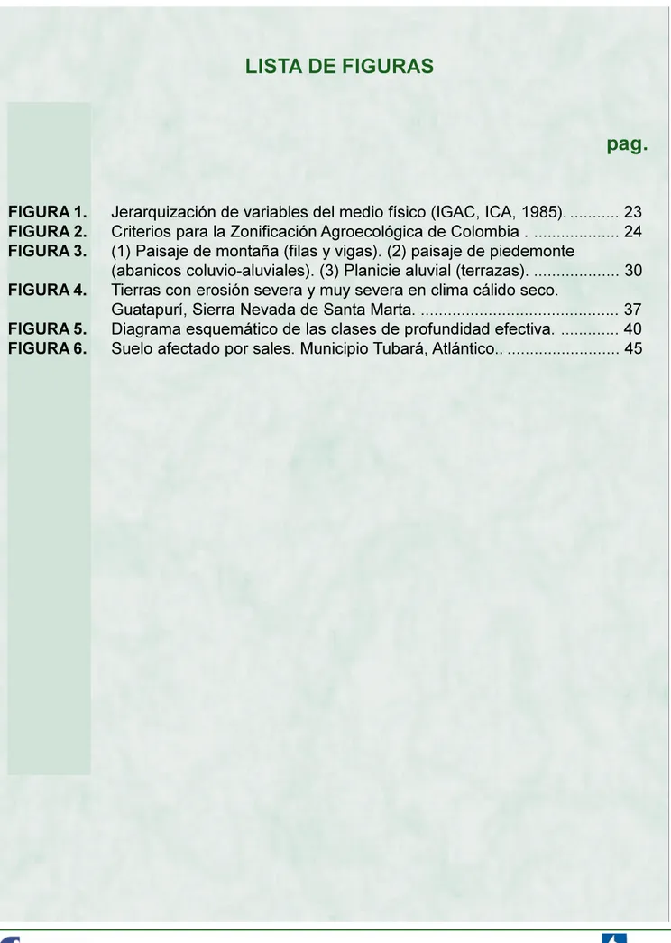 FIGURA 1. Jerarquización de variables del medio físico (IGAC, ICA, 1985). ........... 23 FIGURA 2