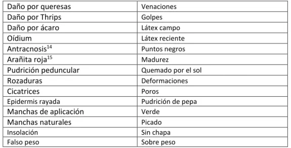 Tabla N°  10. Plan de ventas 