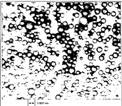 Figura 2-7  Microfotografía que demuestra los tamaños  y  distribución de las partículas  de Asfalto (ASPHAL T 