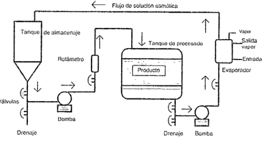 Figura N° 3:  Configuración Típica de un Sistema de Deshidratación  Osmótica 