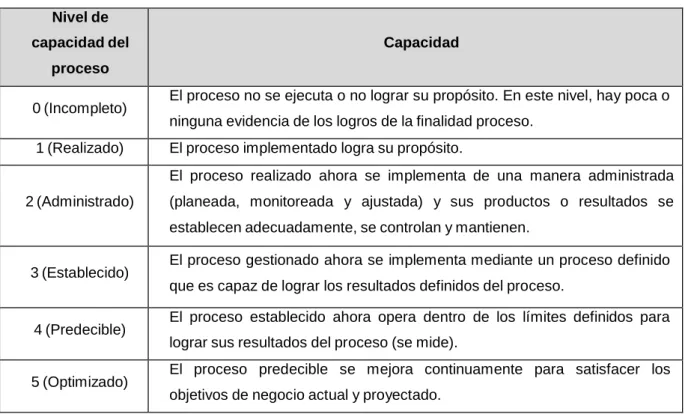 Tabla 1  Niveles de Capacidad de Procesos 