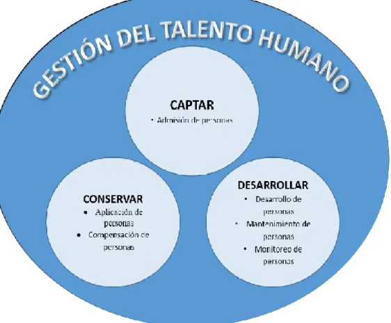 Figura 2 Gestión del Talento Humano. 