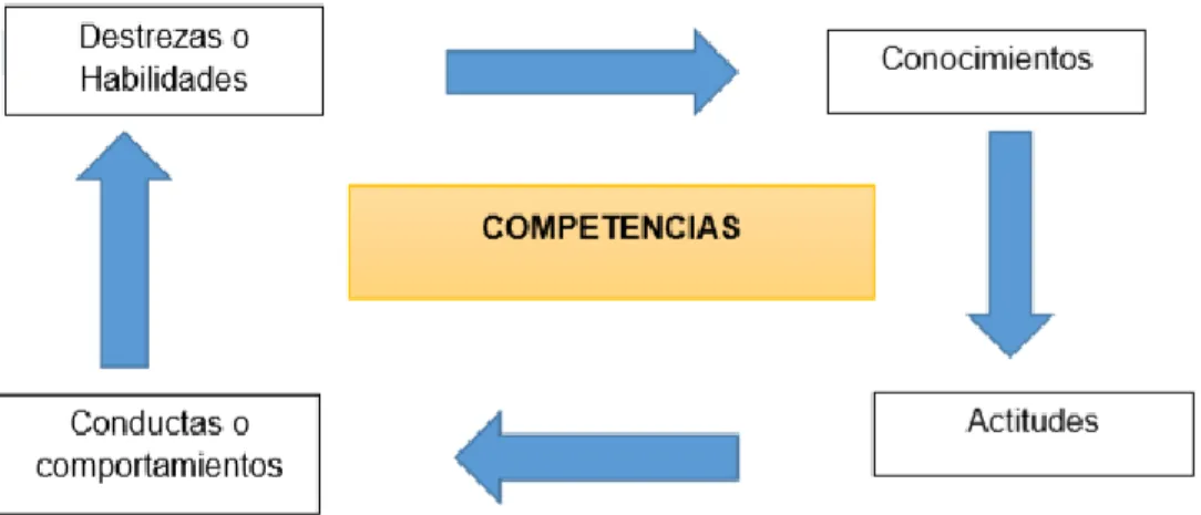 Figura Nº 1: Proceso de educación ambiental. 