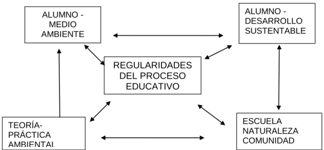 Figura Nº 2: Proceso de educación ambiental 