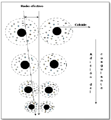 Figura 1. Efecto del coagulante en los coloides. Recuperado  de  “Remoción  de  materia  orgánica  por   coagulación-floculación”, Universidad Nacional, sede Manizales, 2005
