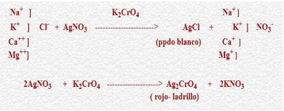 Figura 13. Reacciones al analizar cloruros en el agua. Recuperado de               http://arturobola.tripod.com/cloru.htm 
