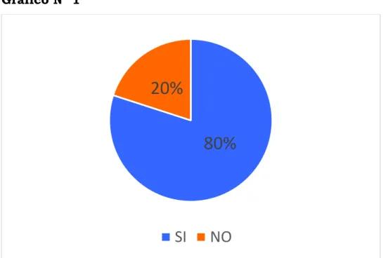 Gráfico N° 1 