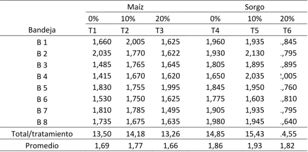 Tabla  4.  Peso  de  Germinado  Hidropónico  de  maíz  y  sorgo  escobero  por  bandeja  por tratamiento en base fresca (TCO) cosechado a los  15 días de edad  (Kg)        Maíz        Sorgo     0%  10%  20%  0%  10%  20%  Bandeja   T1  T2  T3  T4  T5  T6  