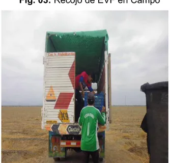 Fig. 03: Recojo de EVF en Campo 