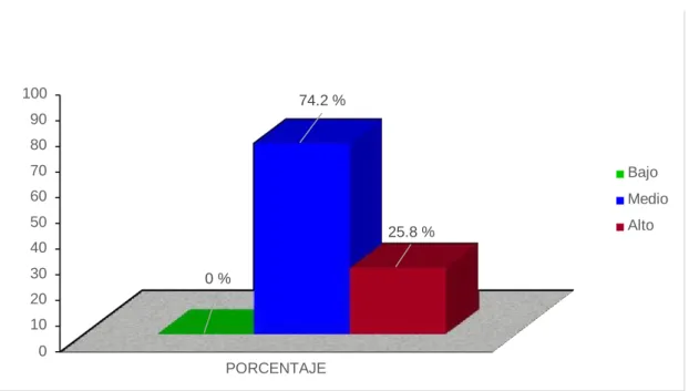 Figura 4. La Competencia Motriz 