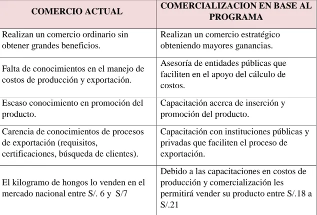 Tabla 4: Cuadro comparativo de comercialización 