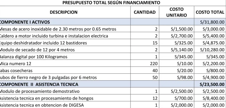 Tabla 7: Costos de Inversión 