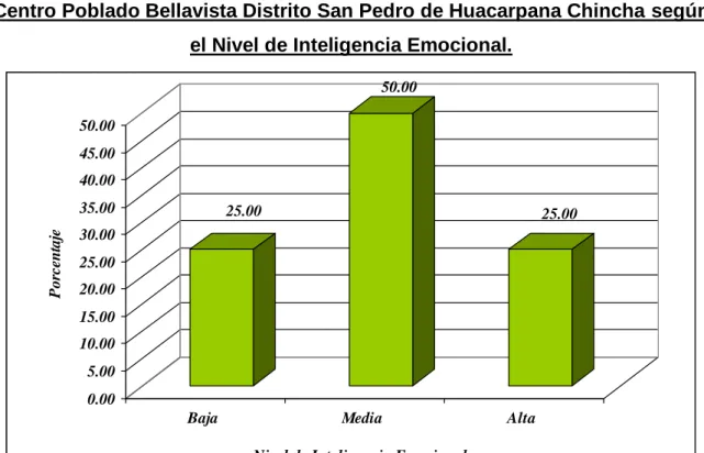 Gráfico N° 01 