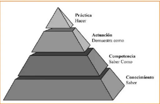 Figura Nº 01. Pirámide de las competencias.  
