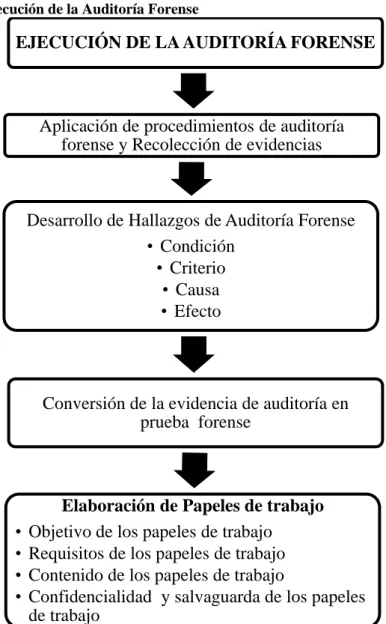 Figura 4 Etapa de Ejecución de la Auditoría Forense 