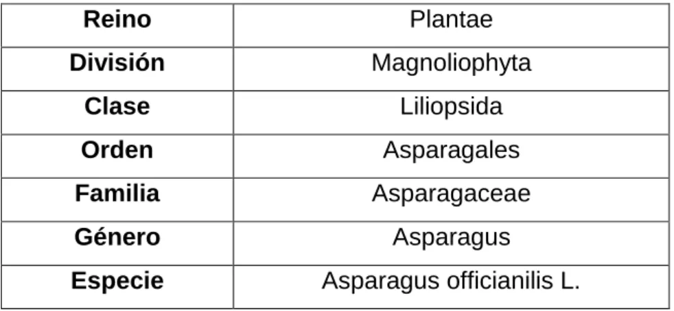 Tabla Nº01: Clasificación científica 