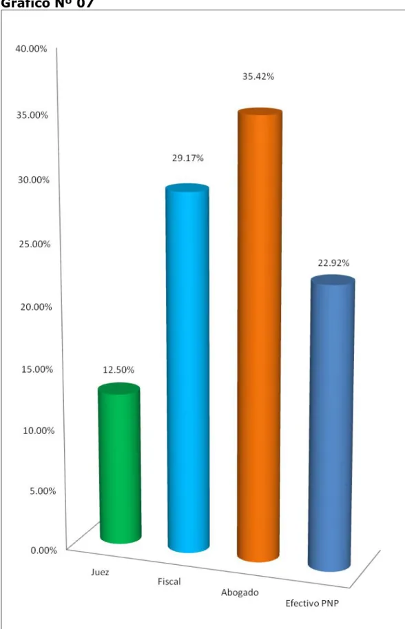 Gráfico Nº 07 