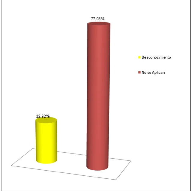 Gráfico Nº 11 