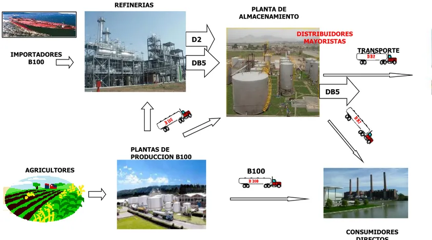 Figura 3.4. Cadena de comercialización del biodiesel 