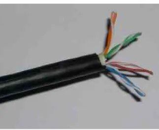 Ilustración 1: Cable de Par Trenzado