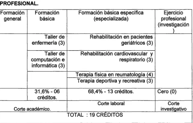 Tabla  02:  Organización  de  las asignaturas  en  la  especialidad  de  Terapia  Física  y  Rehabilitación  en  la  Universidad  de  Chiclayo  - DISCIPLINA  TÉCNICO  PROFESIONAL