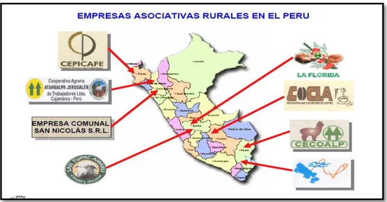 Figura 2: Empresas asociadas en el sector rural en el Perú (2009)                       Fuente: MINCETUR 