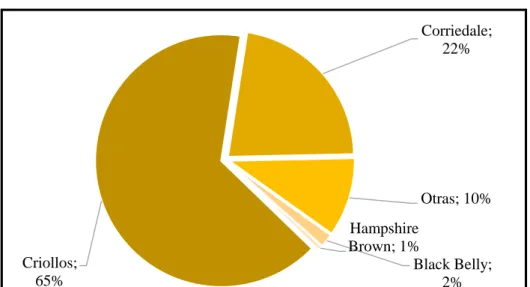 Figura 6: Porcentaje de ganado ovino en el distrito de Incahuasi según razas