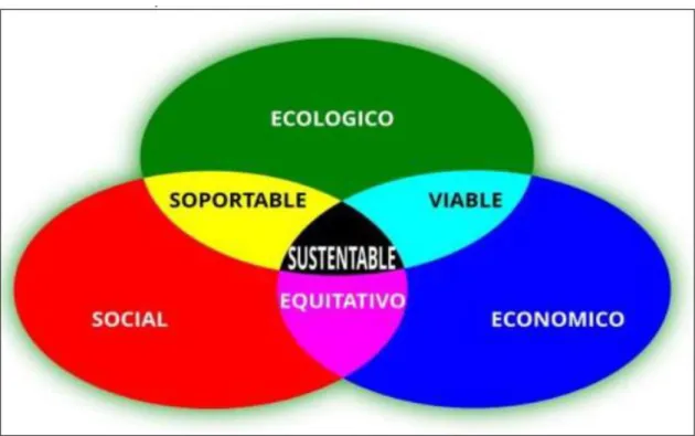 Figura 16: Inter relaciones para el concepto SUSTENTABLE 