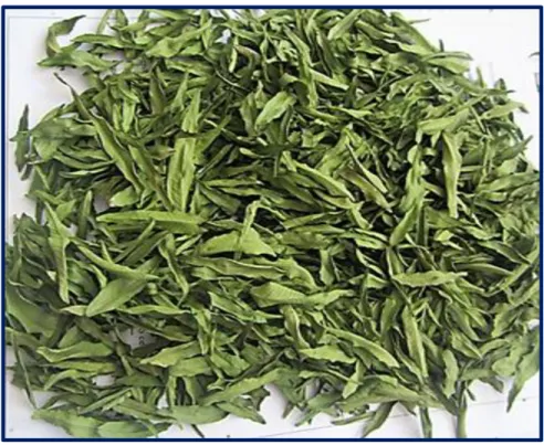 Figura 1: Hojas secas de Schinus molle L. 