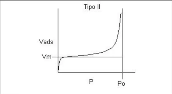 Figura  1.  Isoterma  de  adsorción  tipo  I,  Recuperado  de 