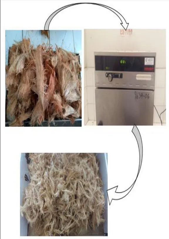 Figura 9.1. Proceso de secado de la fibra de coco. Elaborado por los autores. 