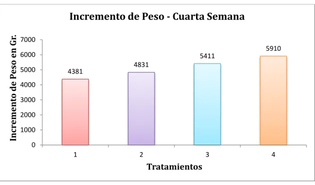 GRÁFICO  N°  05:  Representación  Gráfica  del  Incremento  de  Peso  a  la  Cuarta  Semana 
