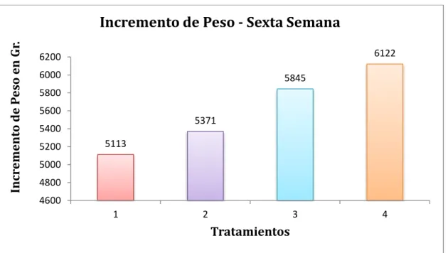 GRÁFICO N°07: Representación gráfica del Incremento de Peso Corporal a la  Sexta Semana: 