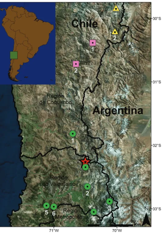Figure 7. Distributional map for Liolaemus uniformis sp. n. along with geographically proximate species  of the nigroviridis group