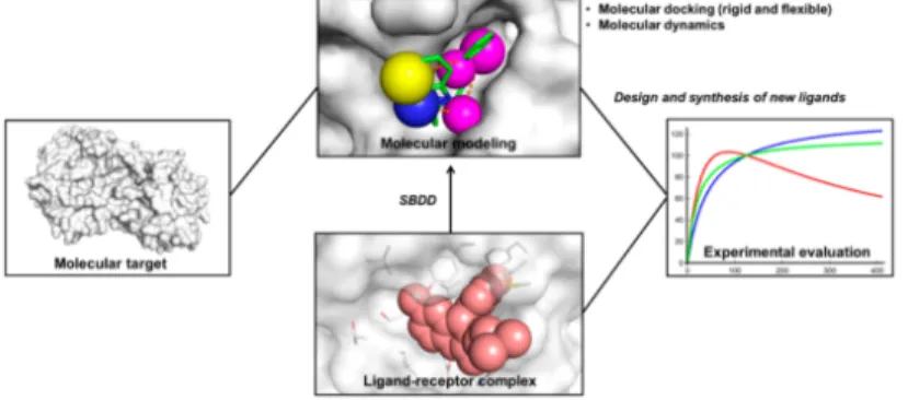 Figura 2.3. Esquema del SBDD La estructura tridimensional del objetivo molecular es empleada en los estudios de modelado molecular
