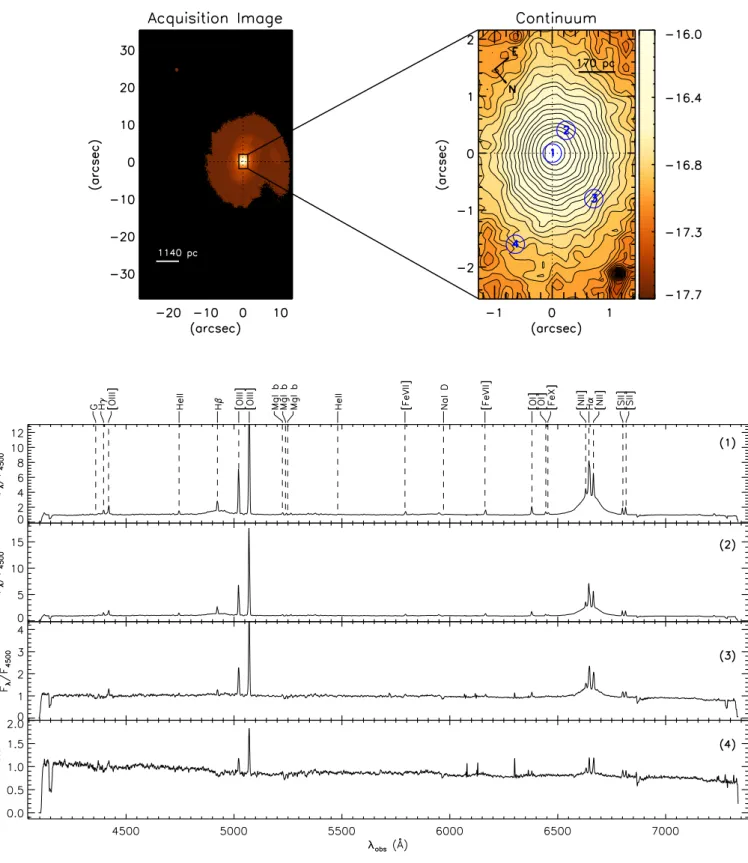 Fig. 1. Top left: acquisition Gemini GMOS image. The rectangle shows the FOV of the IFU observation