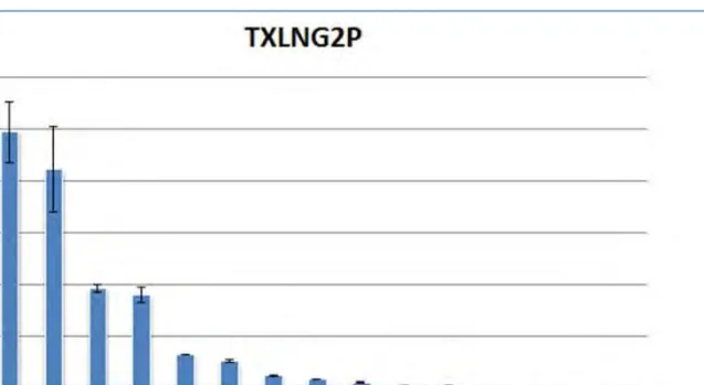 FIGURA 13. Niveles de expresión de mRNA para el gen TSIX con desviación estándar  por triplicado