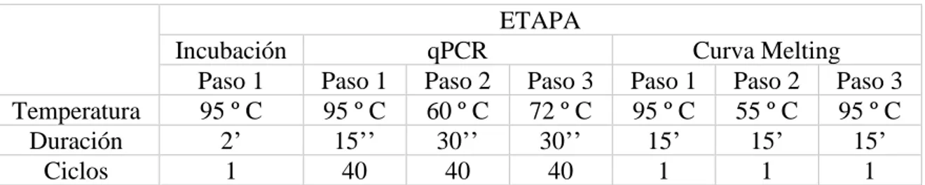 Tabla 9: Programa Ejecutado en el Equipo Eco Real time PCR system para cada reacción individual por gen en  estudio (18S, SLPI y MIP3α)