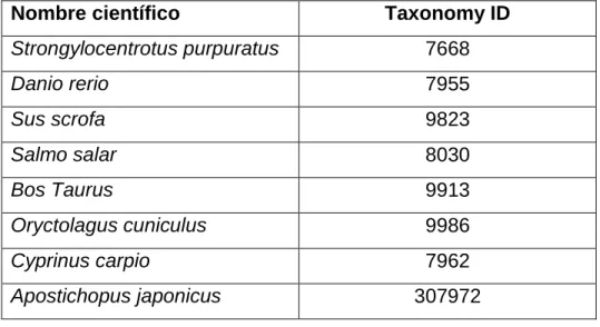 Tabla  3:    Especies  utilizadas  para  BLASTp  contra  contigs  del  transcriptoma  de  Loxechinus  albus 