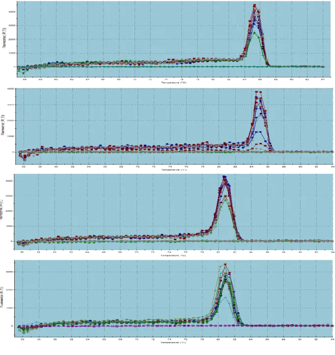 Figura 8: Curva de melting o disociación, correspondiente a los genes TLR3, TLR4, TLR6  y  TLR8