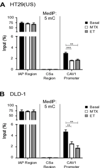 Figure 4: Methotrexate and Etoposide induce CAV1 promoter demethylation in colon cancer cells