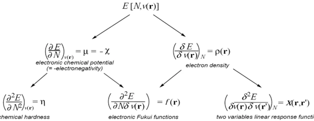 Figure 1. First and second derivatives of E[N;v(r)] with respect to N and v(r). 